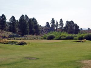 Silvies (Hankins) 4th Green